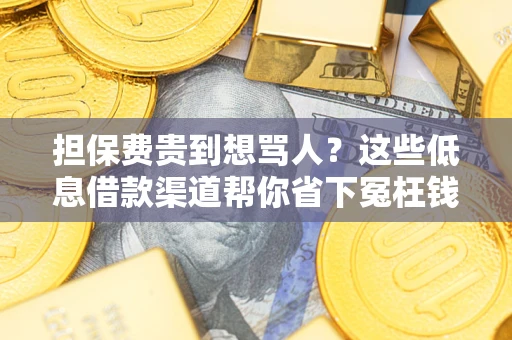 北京担保费贵到想骂人？这些低息借款渠道帮你省下冤枉钱