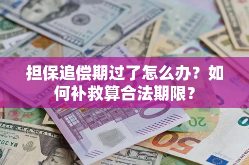 北京担保追偿期过了怎么办？如何补救算合法期限？