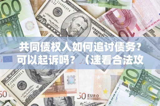 北京共同债权人如何追讨债务？可以起诉吗？（速看合法攻略）
